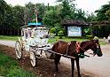 Mini stage coach_Pyin U Lwin